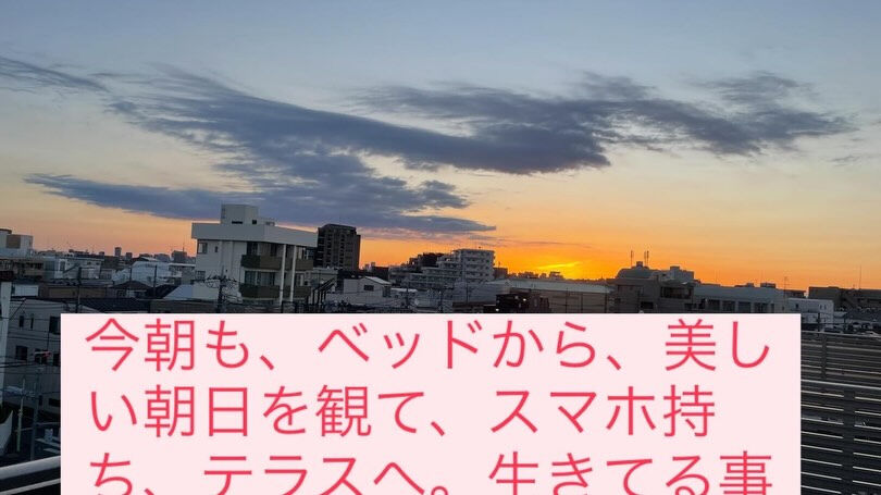 今朝も、不思議な美しさの朝日で目を覚ます